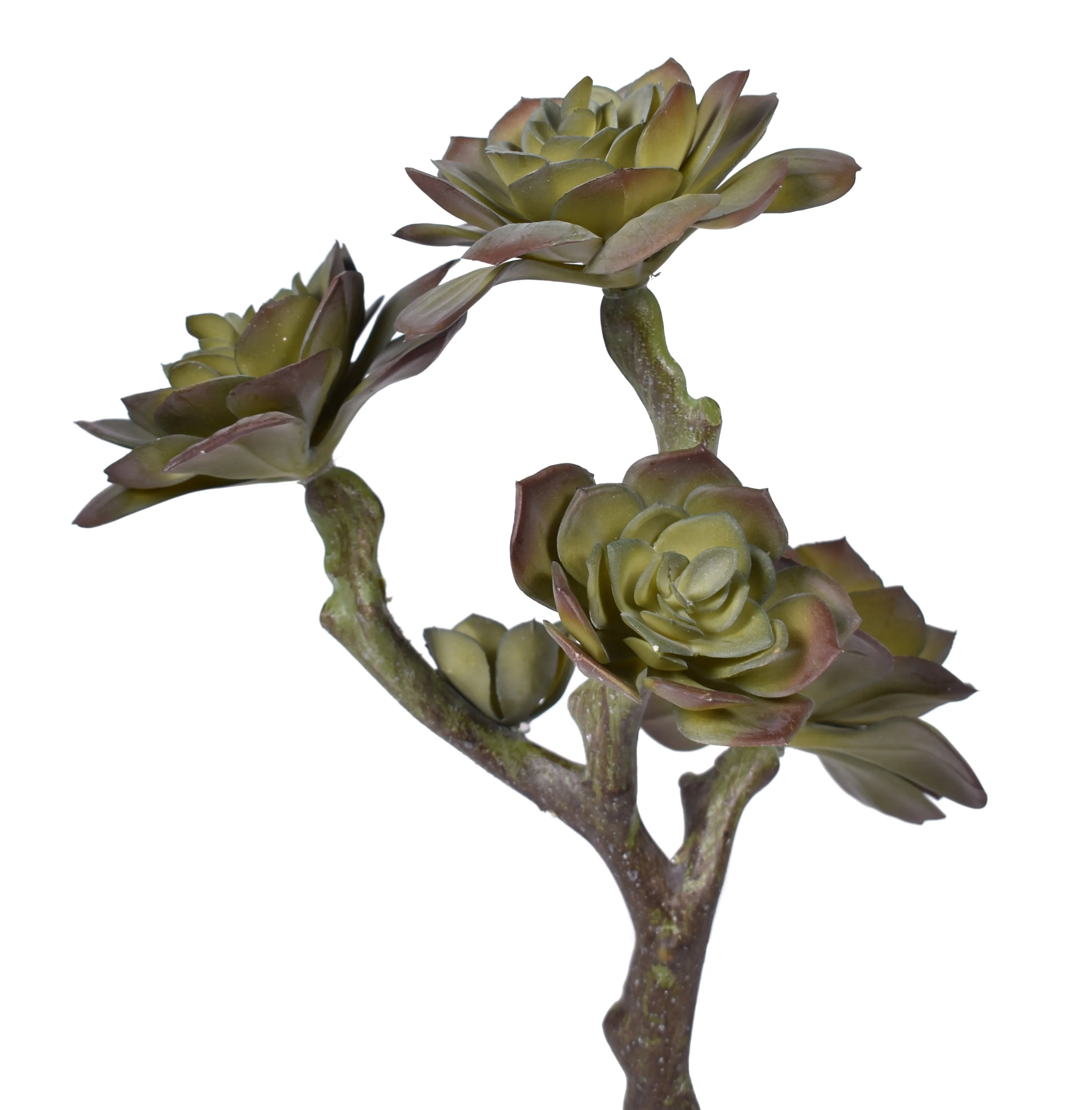 12" Multi Head Echeveria Stem- UV Protected  MH1027UV