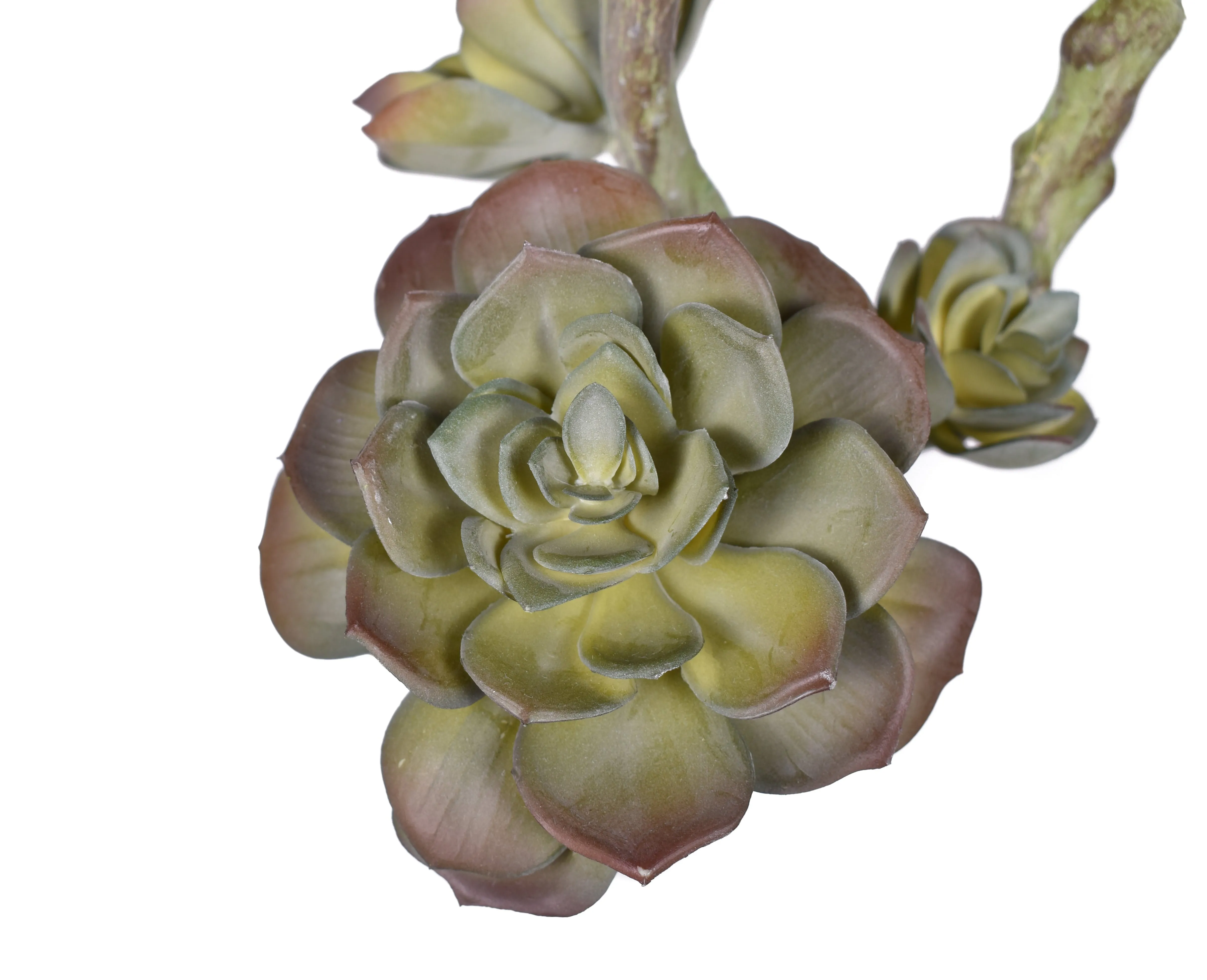 12" Multi Head Echeveria Stem- UV Protected  MH1027UV