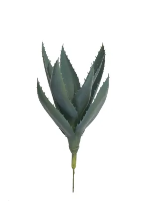 13" Aloe Stem AV1029