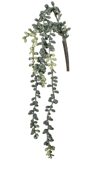 18" Hanging Sedum Pick- UV Protected   SE1037UV