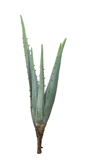 21" Aloe Stem AV1017