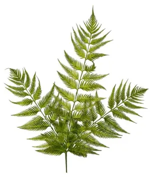 22" Bracken Fern Stem    FR1010