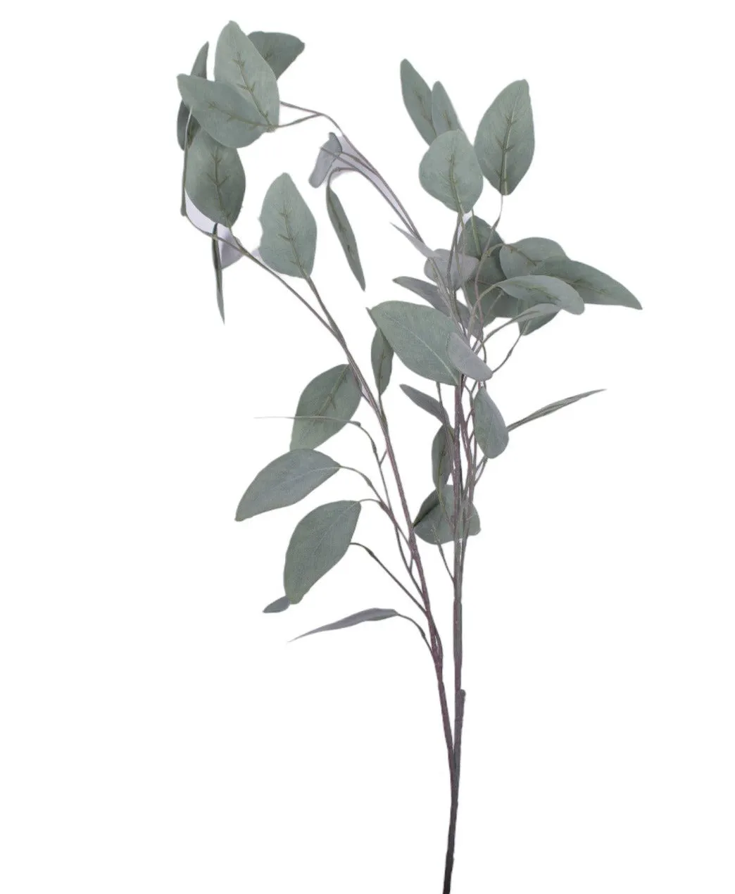 36" Eucalyptus Stem-UV Protected   ST1168UV