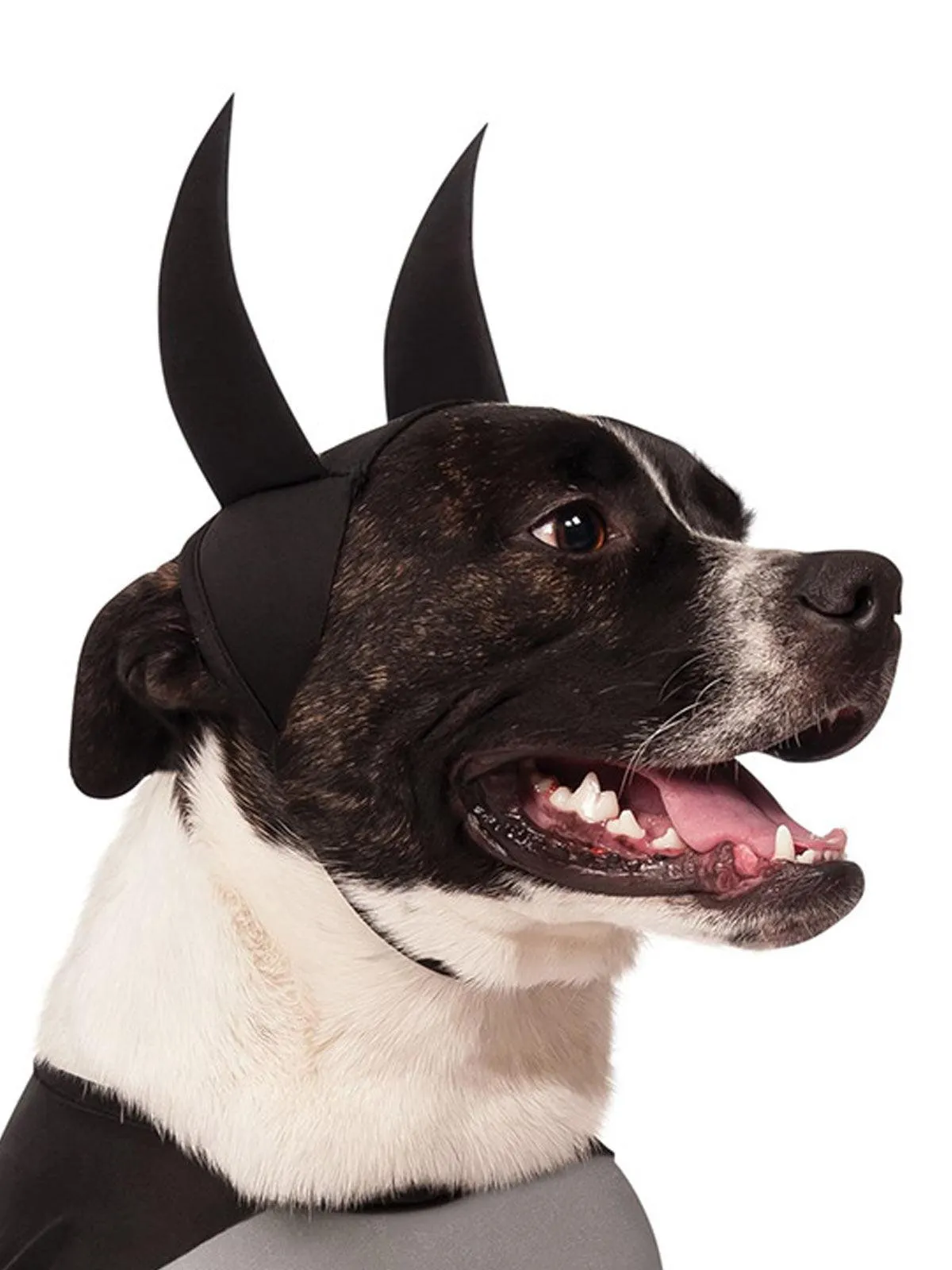 Batman Classic Pet Costume - Buy Online Only