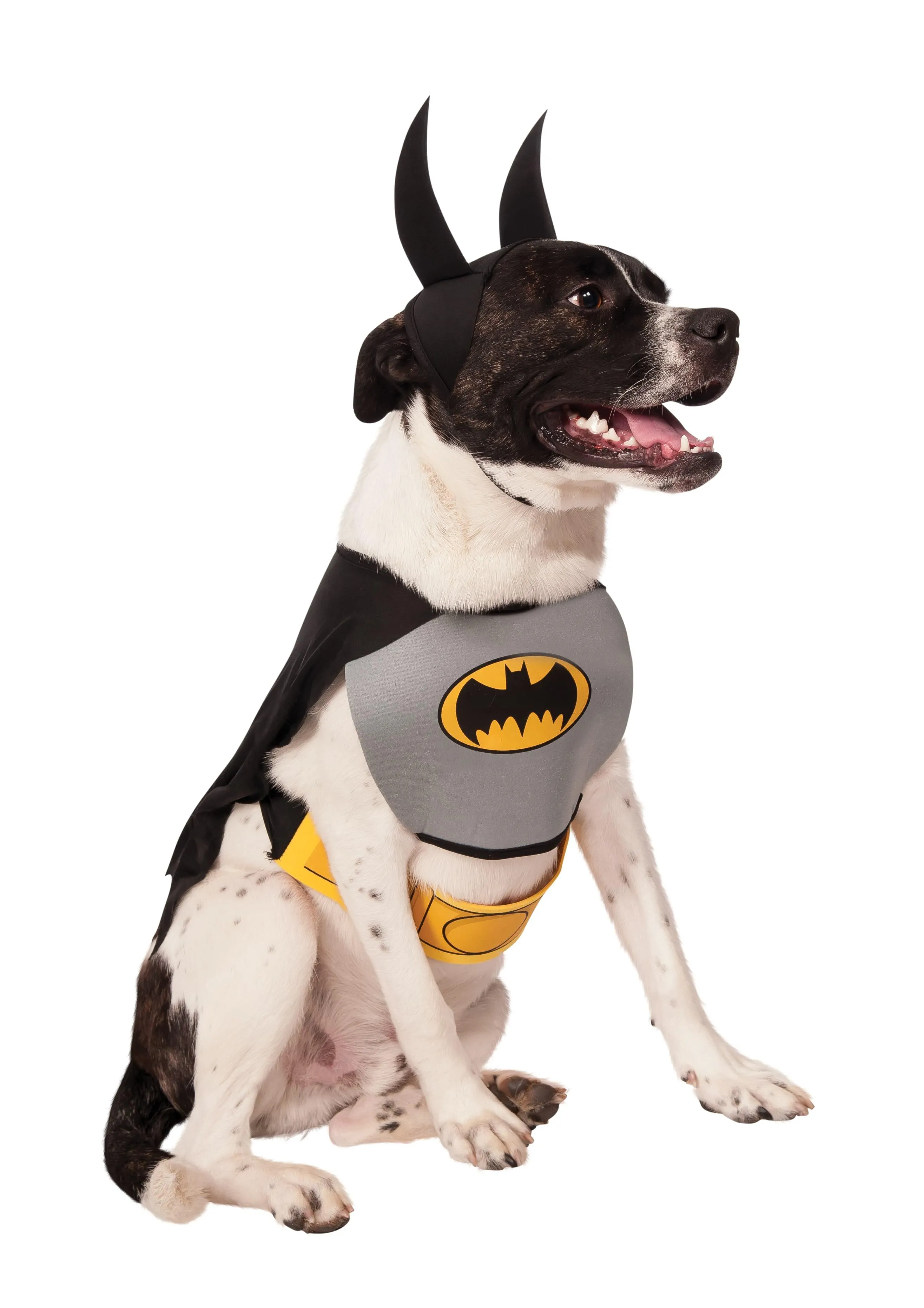 Batman Classic Pet Costume - Buy Online Only