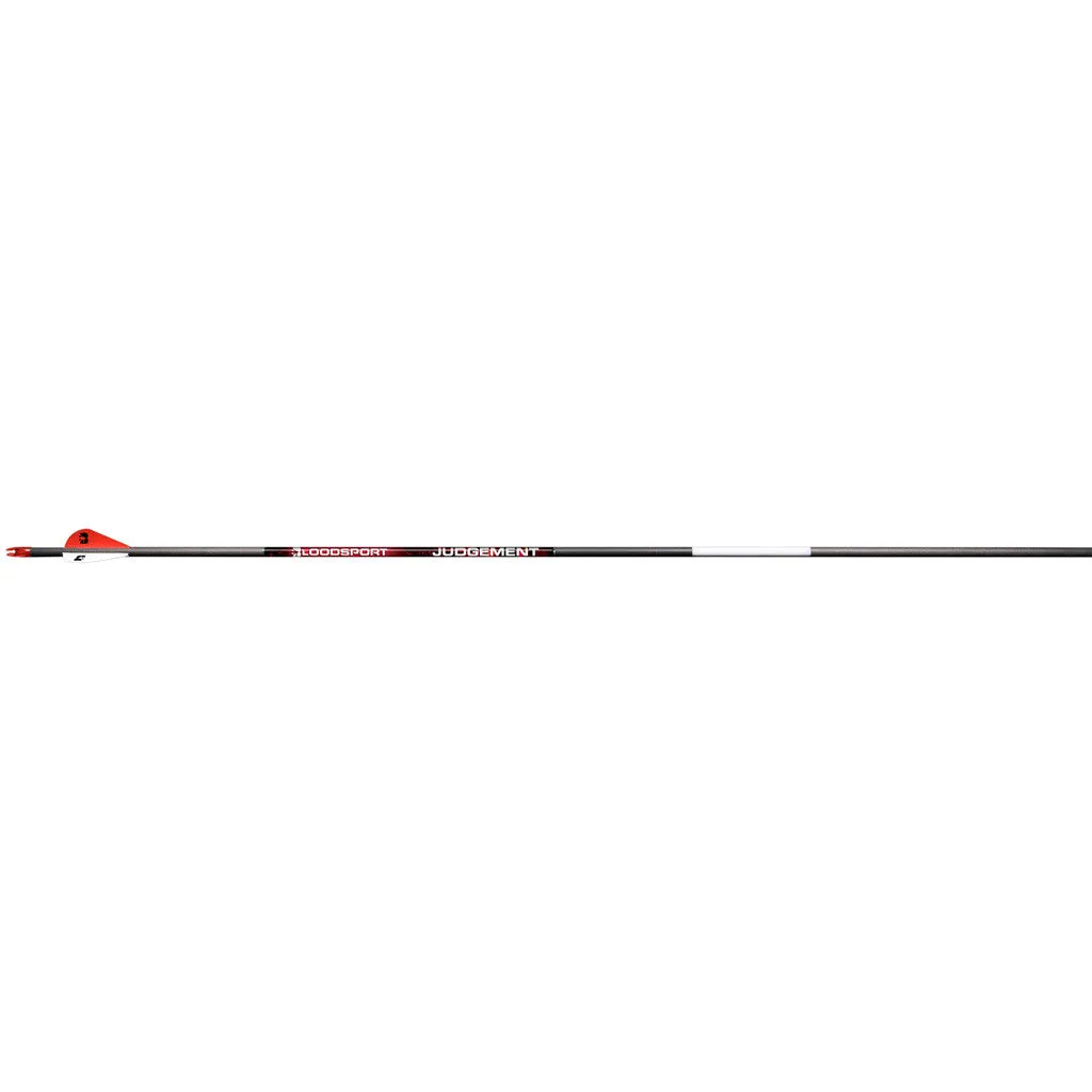 BloodSport Judgement Arrows 350 2 in. Vane 6 pk.