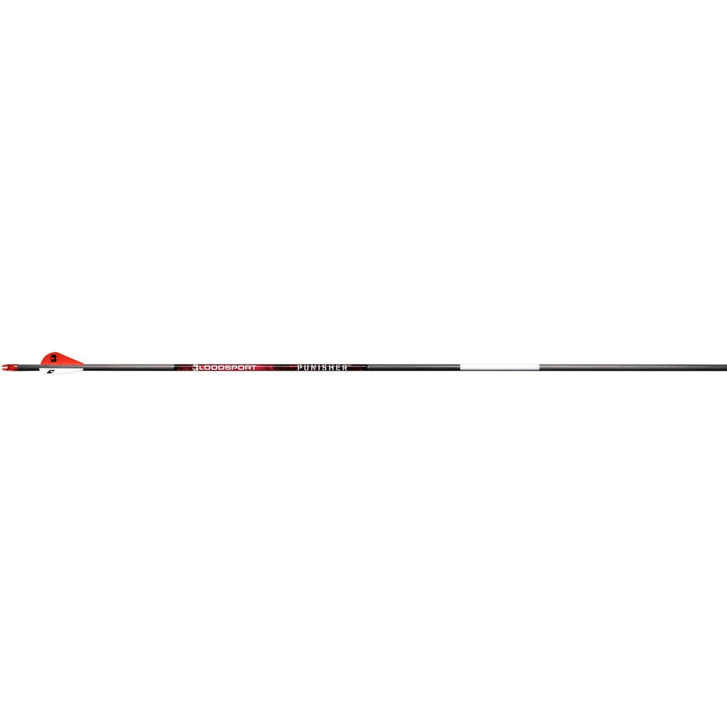 BloodSport Punisher Arrows 350 2 in. Vane 6 pk.