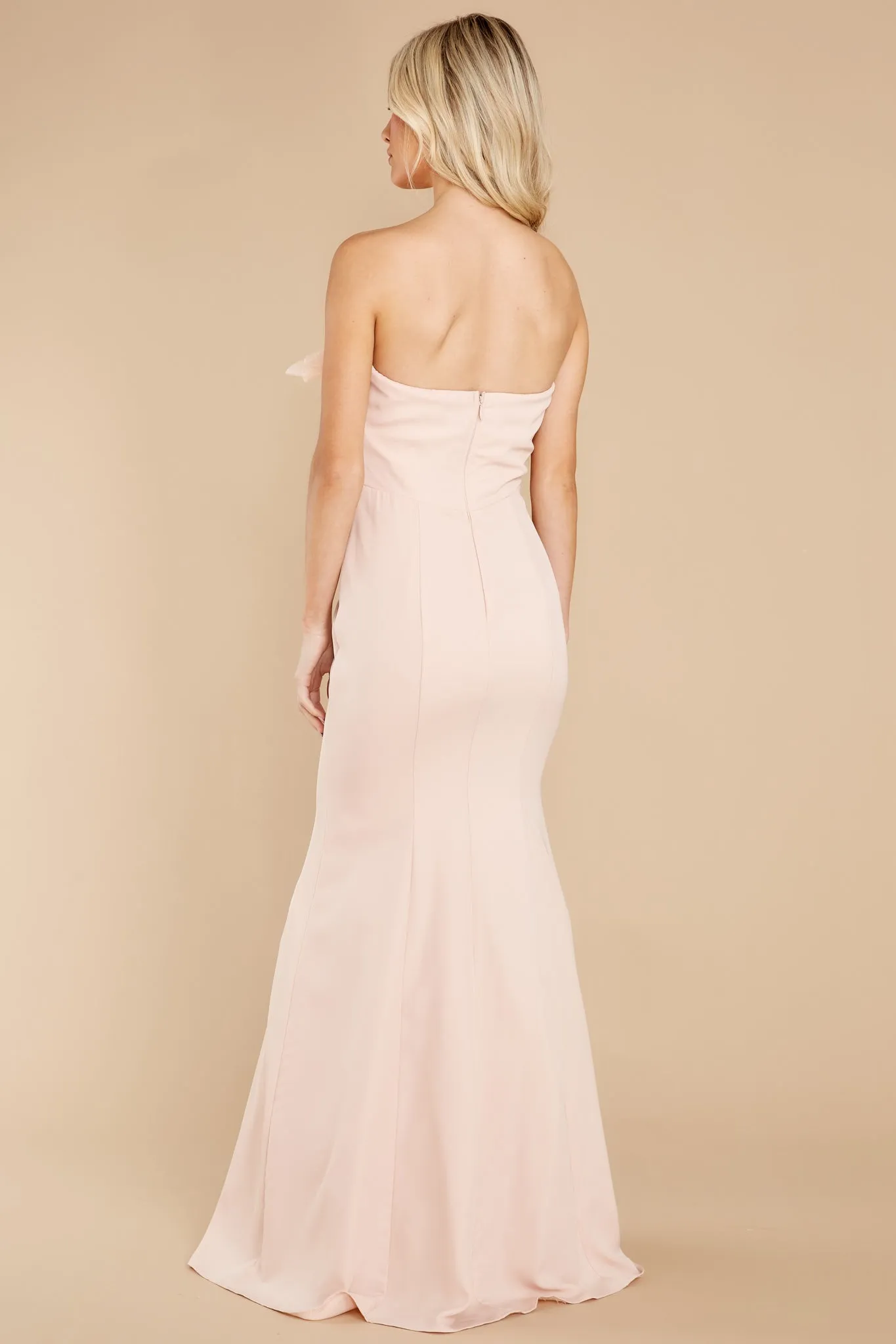 Follow Your Dreams Blush Maxi Dress