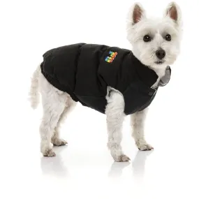 FuzzYard Ashbury Dog Jacket / Dog Coat - Black